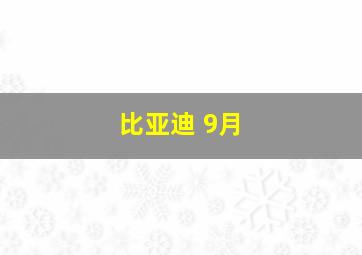 比亚迪 9月